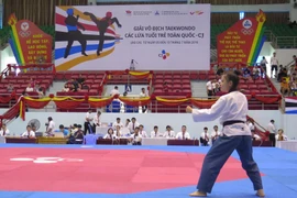 VĐV thi đấu quyền tiêu chuẩn và quyền sáng tạo. (Ảnh: Hương Thu/TTXVN)