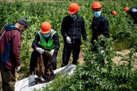 Trong số các nạn nhân có 5 người mặc trang phục các con tin của tổ chức IS. (Nguồn: The Sun Daily)