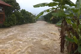 Mưa liên tục gây lũ tại tỉnh Sơn La. (Ảnh: Nguyễn Cường/TTXVN)