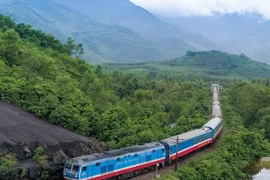 Đoàn tàu trên tuyến Bắc-Nam. (Ảnh: Minh Sơn/Vietnam+)