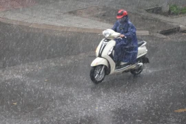 Người dân đi lại dưới mưa lớn trên một con đường ở thành phố Đông Hà. (Ảnh: Nguyên Lý/TTXVN)