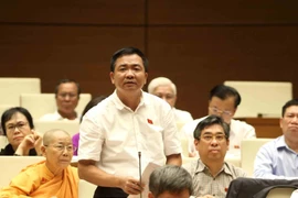 Đại biểu Quốc hội Thành phố Hồ Chí Minh Nguyễn Minh Đức chất vấn. (Ảnh: Phương Hoa/TTXVN)