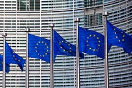 16 nước chỉ trích EU áp đặt các quy định về thuốc trừ sâu. (Nguồn: Getty Images)