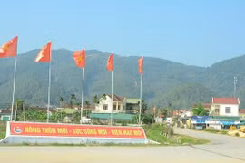Diện mạo nông thôn mới ở Nam Đàn. (Ảnh: CTV)