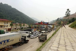 Phương tiện dừng đỗ ngay làn thu phí khiến tuyến đường BOT Hòa Lạc-Hòa Bình bị ách tắc. (Ảnh: Việt Hùng/Vietnam+)