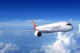 Máy bay của hãng hàng không Asiana Airlines. (Nguồn: ajudaily.com)