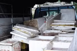 Bắt giữ hai đối tượng vận chuyển 1,6 tấn thực phẩm nhập lậu