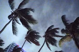 (Nguồn: baynews9.com)