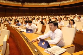 Đại biểu Quốc hội biểu quyết thông qua Nghị quyết về việc thành lập Đoàn giám sát chuyên đề của Quốc hội năm 2020. (Ảnh: Phương Hoa/TTXVN)