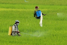 Ảnh minh họa. (Ảnh: Trần Lê Lâm/TTXVN)