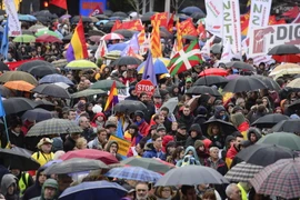 Biểu tình phản đối biện pháp kinh tế khắc khổ ở Tây Ban Nha