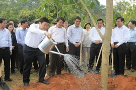 Chủ tịch nước phát động Tết trồng cây Xuân Ất Mùi năm 2015