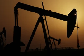 Ảnh minh họa. (Nguồn: AP)