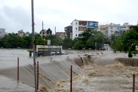 Nước lớn kéo theo đất đá từ bãi thải Đông Cao Sơn dồn xuống đập 790, bùn thải tràn vào 40 hộ dân ở Mông Dương, ngày 29/7. (Ảnh: Minh Quyết/TTXVN)