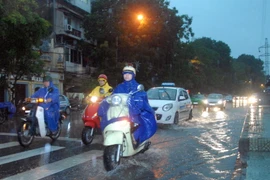 Ảnh minh họa. (Ảnh: Anh Tuấn/TTXVN)