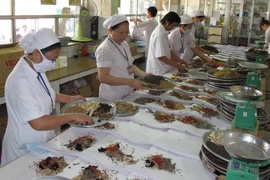 Nữ bác sỹ đem y học cổ truyền phổ biến rộng trong cộng đồng