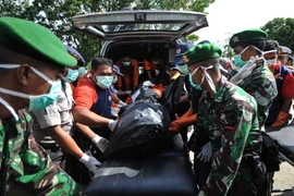 Vụ máy bay AirAsia mất tích: Tìm thấy thêm 7 thi thể