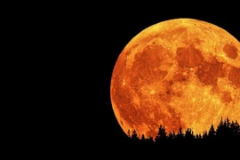 Ảnh minh họa. (Nguồn: pc-tablet.co.in)