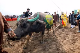Tỉnh Hà Nam khai hội truyền thống Tịch điền Đọi Sơn 2015