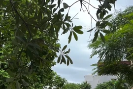 Đỗ sát đường sắt, xế hộp bị tàu hỏa đâm nát đầu