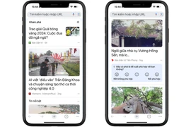 Các nội dung đăng trên Google Discover.