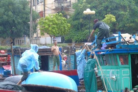 Ngư dân Quảng Bình đang neo đậu, gia cố tàu thuyền an toàn...trước khi bão đổ bộ vào bờ. (Ảnh: Võ Dung/TTXVN)