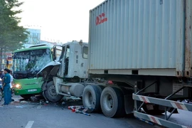 Ảnh minh họa. (Nguồn: Mạnh Linh/TTXVN)