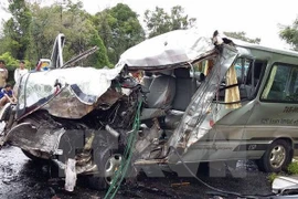 Ảnh minh họa. (Nguồn: TTXVN)