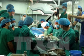 Ảnh chỉ có tính minh họa. (Nguồn: TTXVN)
