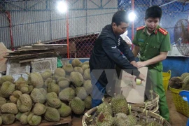 [Video] Phát hiện cơ sở kinh doanh cho sầu riêng 'tắm' hóa chất