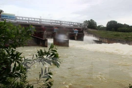 [Video] Hà Nội chủ động xử lý kịp thời các tình huống xảy ra do xả lũ