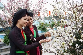 Khách tham quan Triển lãm. (Ảnh: Diệp Trương/TTXVN)