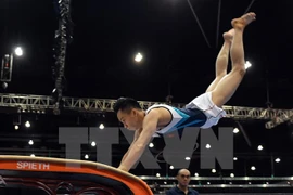 VĐV Lê Thanh Tùng thi đấu chung kết nội dung nhảy chống. (Ảnh: Quốc Khánh/TTXVN)