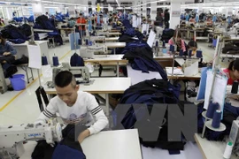 May hàng xuất khẩu sang thị trường Nhật Bản tại Công ty Cổ phần May Hưng Việt, Khu công nghiệp Phố Nối, tỉnh Hưng Yên. (Ảnh minh họa: Trần Việt/TTXVN)