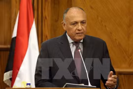 Ngoại trưởng Ai Cập Sameh Shoukry. (Ảnh: AFP/TTXVN)