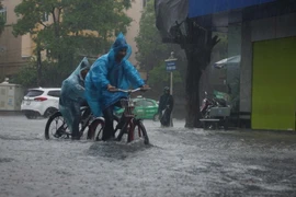 (Ảnh minh họa: Trịnh Duy Hưng/TTXVN)