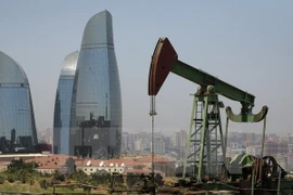 Ảnh minh họa. (Nguồn: AP/TTXVN)