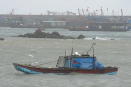 Ảnh minh họa. (Nguồn: TTXVN)