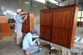 Ảnh minh họa. (Nguồn: Vũ Sinh/TTXVN)