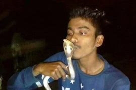 Mhatre từng giải cứu hơn 100 con rắn khỏi nguy hiểm trước khi qua đời. (Nguồn: SWNS)