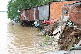(Ảnh minh họa: Lê Thúy Hằng/TTXVN)