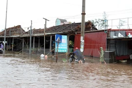 (Ảnh minh họa: Quốc Khánh/TTXVN)