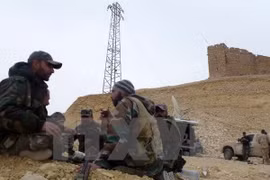 Lực lượng ủng hộ chính phủ Syria tại thành cổ Palmyra. (Nguồn: AFP/TTXVN)