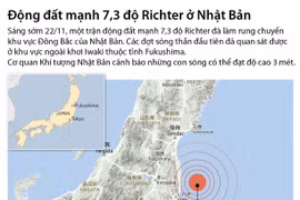 [Infographics] Nhìn lại trận động đất mạnh 7,3 độ Richter ở Nhật