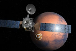 Ảnh minh họa. (Nguồn: AFP/TTXVN)