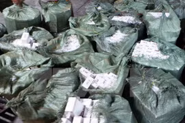 Ảnh chỉ có tính minh họa. (Nguồn: TTXVN)