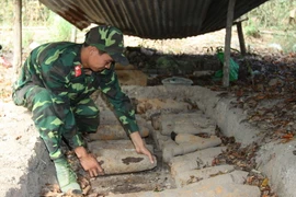 (Ảnh minh họa: Trọng Đức/TTXVN)