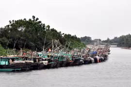 (Ảnh minh họa: Văn Đức/TTXVN)