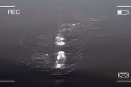 Quái vật hồ Loch Ness bất ngờ xuất hiện trên sông băng ở Alaska?
