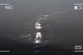 Quái vật hồ Loch Ness bất ngờ xuất hiện trên sông băng ở Alaska?